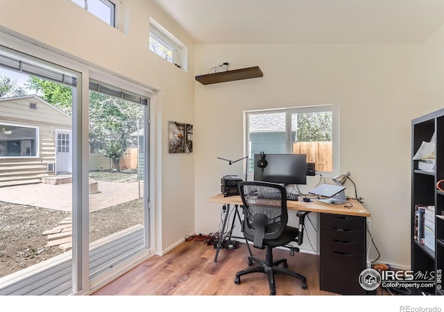 1136 Venice St, Longmont, CO 80501 - home office featuring wood finished floors and a high ceiling