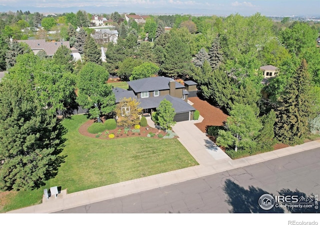 bird's eye view