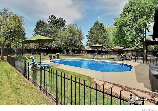 view of swimming pool with a patio