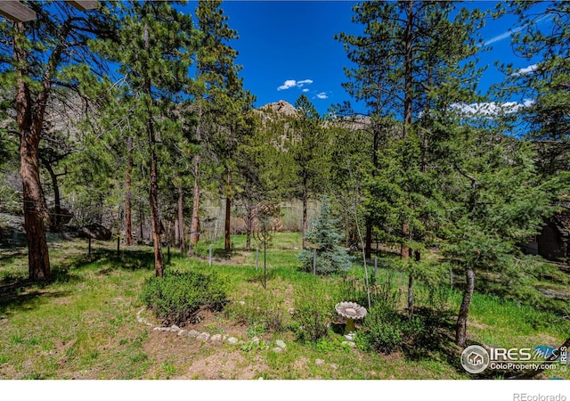 332 Cedar Dr, Lyons, CO 80540