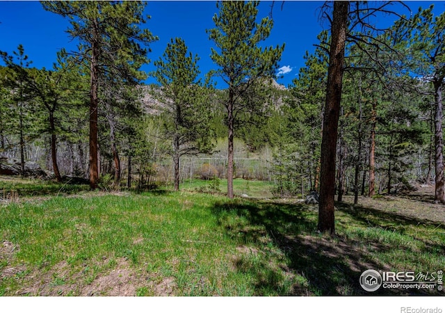 332 Cedar Dr, Lyons, CO 80540
