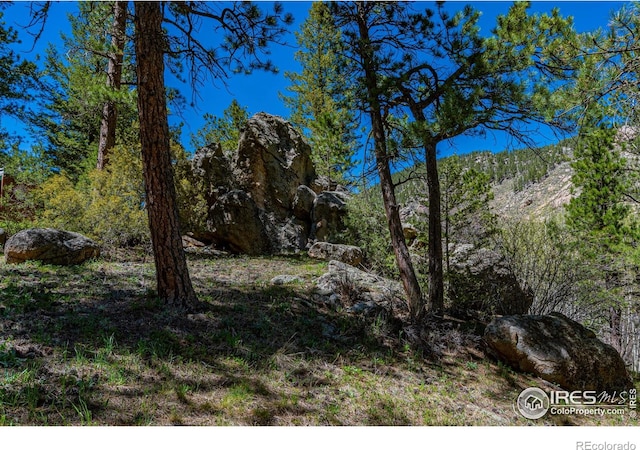 332 Cedar Dr, Lyons, CO 80540