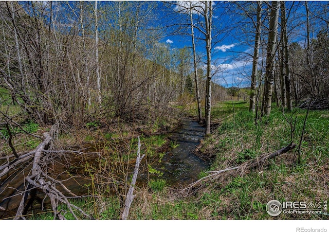 332 Cedar Dr, Lyons, CO 80540