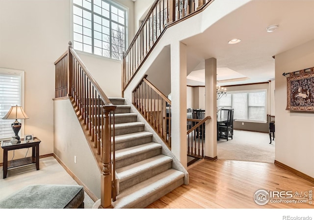 14180 Whitney Cir, Broomfield, CO 80023 - staircase featuring baseboards, a chandelier, wood finished floors, and carpet flooring