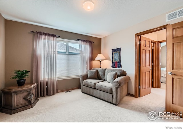 14180 Whitney Cir, Broomfield, CO 80023 - living area featuring carpet floors and baseboards