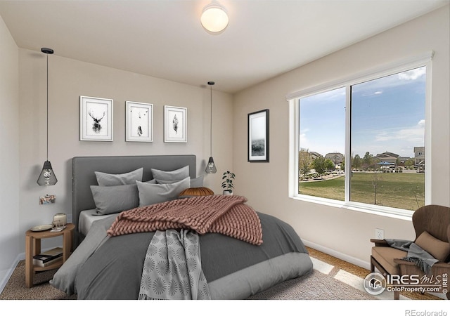 920 Wagon Bend Rd, Berthoud, CO 80513 - bedroom with baseboards and carpet