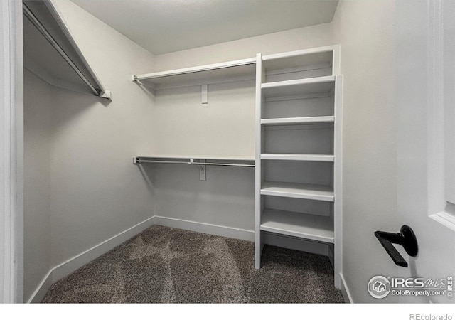 5978 Scotswood Ct, Boulder, CO 80301 - spacious closet with carpet floors