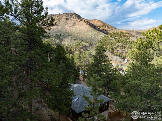 101 Spruce St, Jamestown, CO 80455 - view of mountain backdrop