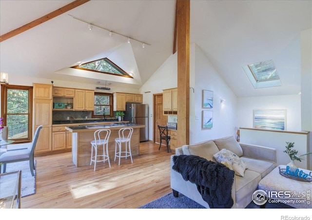 101 Spruce St, Jamestown, CO 80455 - living area featuring rail lighting, a skylight, light wood finished floors, and high vaulted ceiling