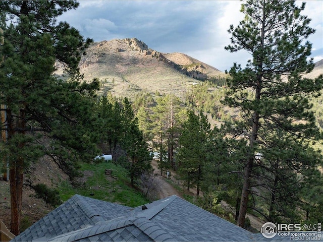101 Spruce St, Jamestown, CO 80455 - view of mountain backdrop