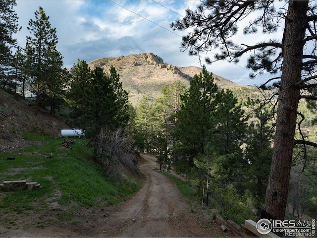 101 Spruce St, Jamestown, CO 80455 - mountain view
