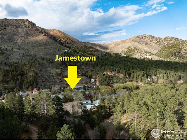 101 Spruce St, Jamestown, CO 80455 - view of mountain background featuring a heavily wooded area