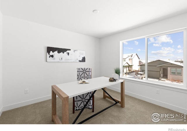 5211 Beckworth St, Timnath, CO 80547