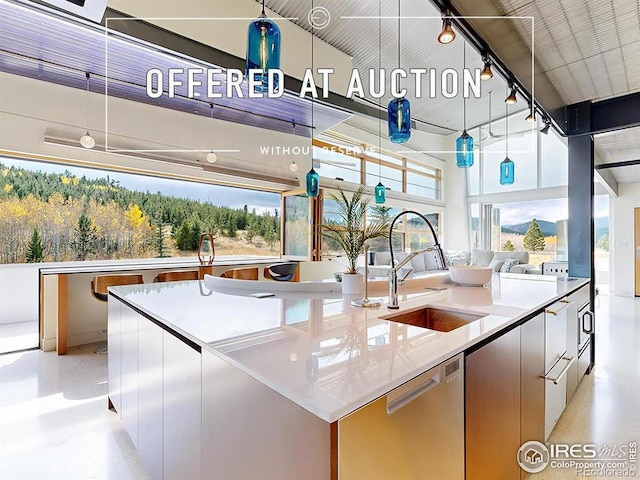 987 Lost Angel Rd, Boulder, CO 80302 - kitchen with a sink, stainless steel dishwasher, a center island with sink, and healthy amount of natural light
