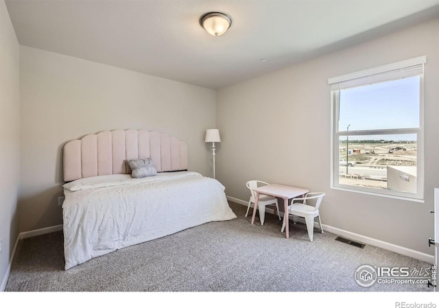 2354 Walbridge Rd, Fort Collins, CO 80524 - photo 22