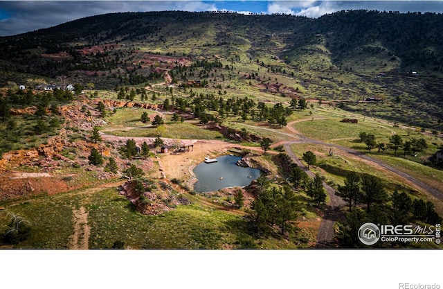 1117 N 5th Ave, Lyons, CO 80540