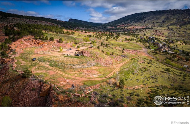 1117 N 5th Ave, Lyons, CO 80540