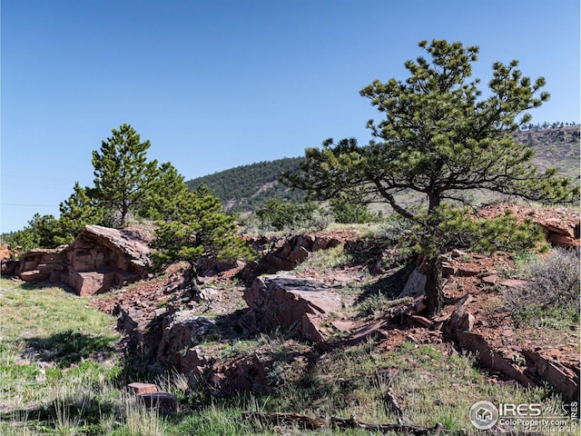 1117 N 5th Ave, Lyons, CO 80540