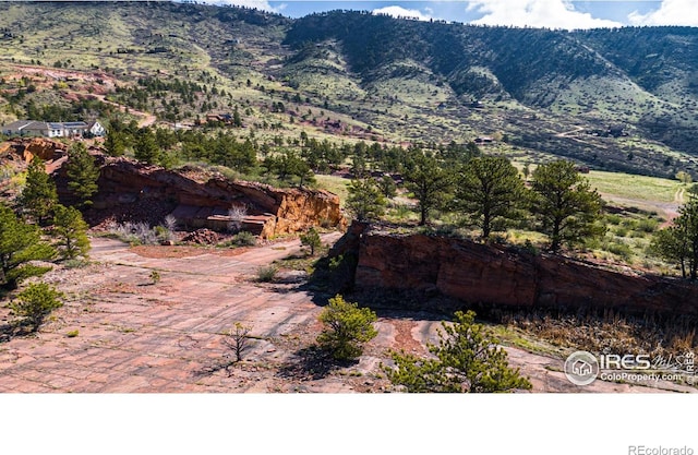 1117 N 5th Ave, Lyons, CO 80540