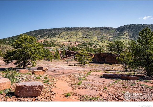 1117 N 5th Ave, Lyons, CO 80540
