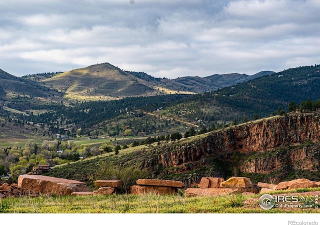 1117 N 5th Ave, Lyons, CO 80540