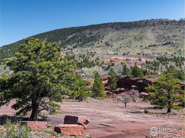 1117 N 5th Ave, Lyons, CO 80540