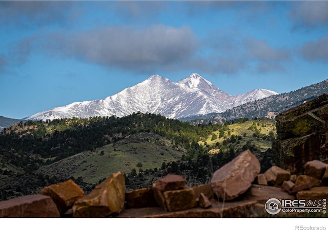 1117 N 5th Ave, Lyons, CO 80540