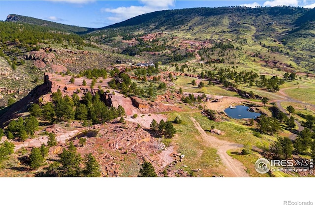1117 N 5th Ave, Lyons, CO 80540