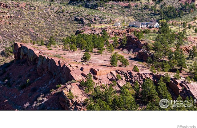 1117 N 5th Ave, Lyons, CO 80540