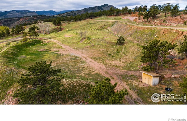 1117 N 5th Ave, Lyons, CO 80540