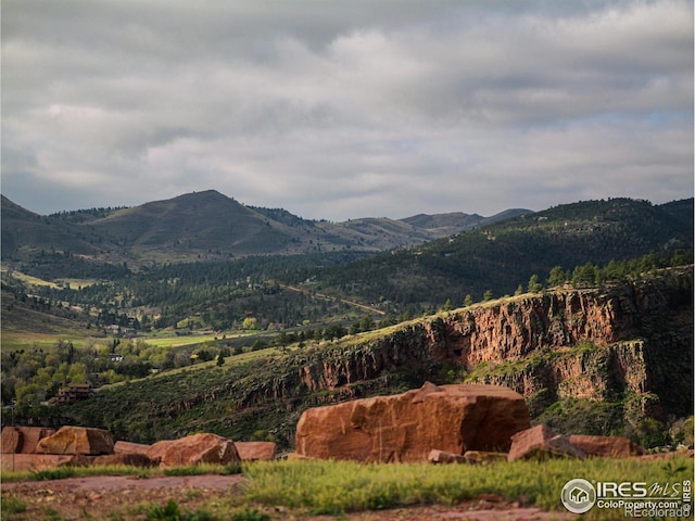 1117 N 5th Ave, Lyons, CO 80540