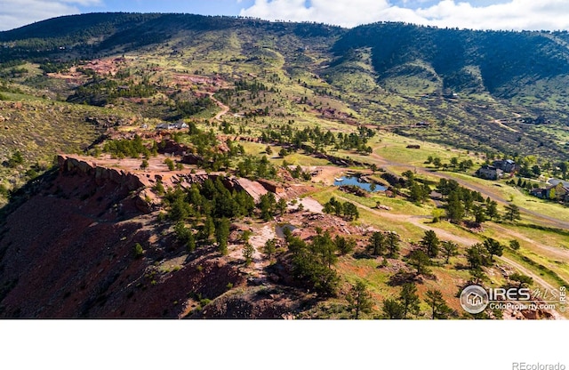 1117 N 5th Ave, Lyons, CO 80540