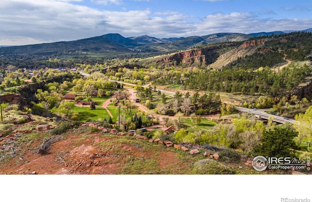 1117 N 5th Ave, Lyons, CO 80540