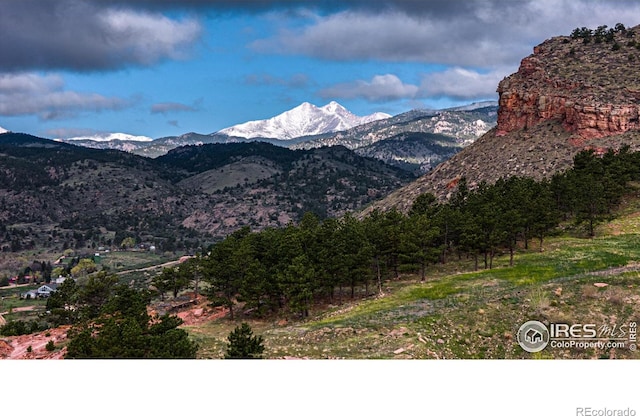 1117 N 5th Ave, Lyons, CO 80540