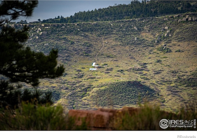 1117 N 5th Ave, Lyons, CO 80540