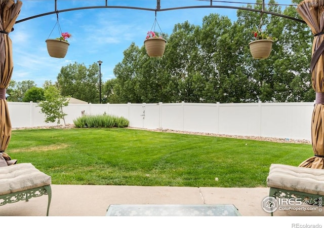 7037 Raleigh St, Wellington, CO 80549 - view of yard with a patio