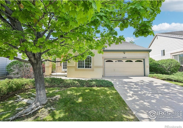 view of front of home featuring a garage, concrete driveway, stucco siding, and a front yard