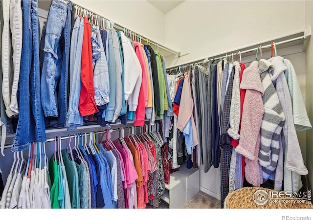 spacious closet with carpet flooring