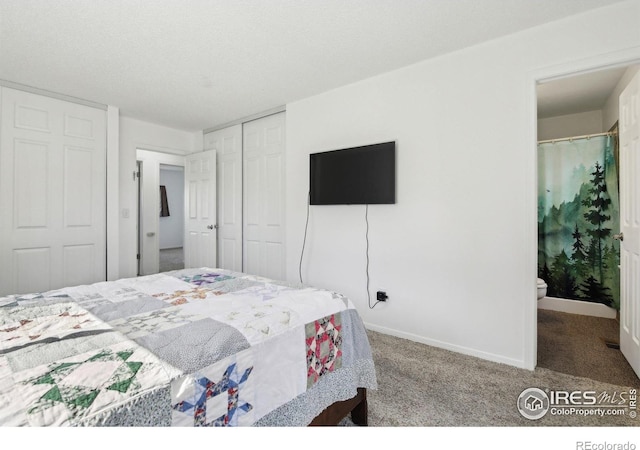 710 Sedge Way, Lafayette, CO 80026 - carpeted bedroom featuring a closet and ensuite bath