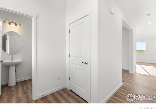 684 Piedmontese St, Johnstown, CO 80534 - photo 8
