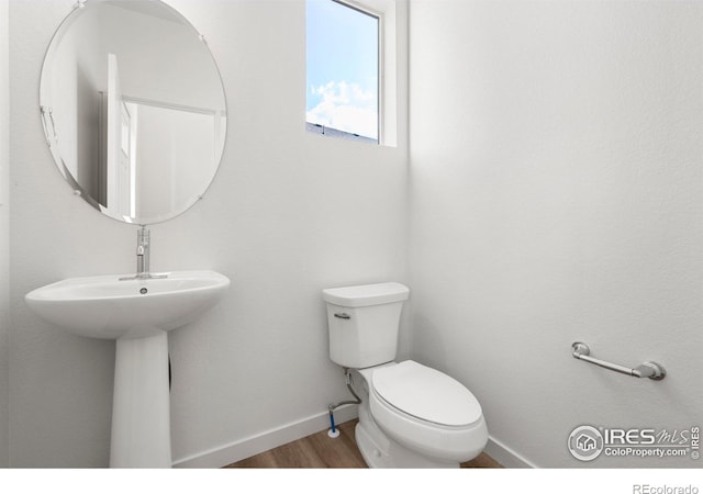 684 Piedmontese St, Johnstown, CO 80534 - photo 10