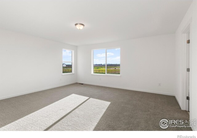 684 Piedmontese St, Johnstown, CO 80534 - photo 28