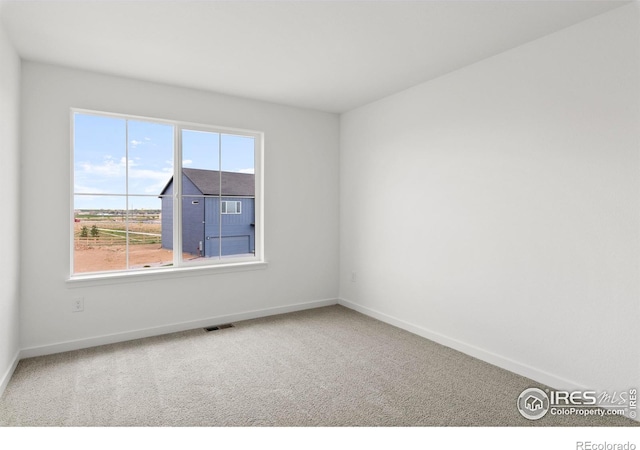 684 Piedmontese St, Johnstown, CO 80534 - photo 29