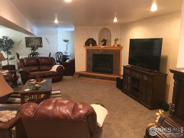 113 Birdie Dr, Milliken, CO 80543 - photo 8