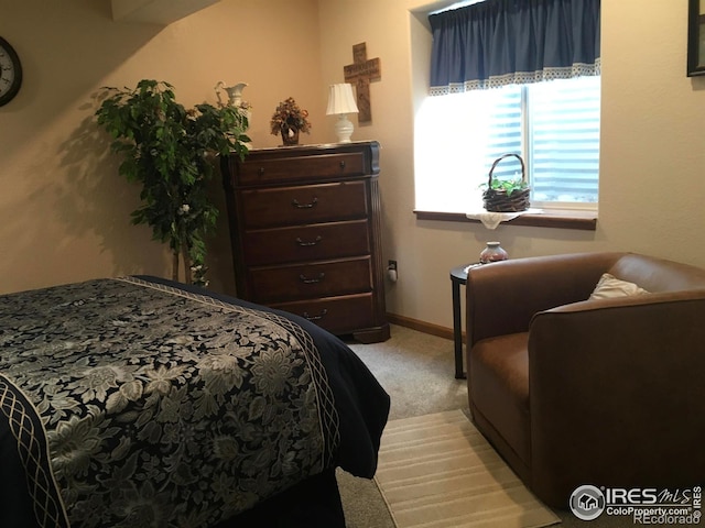 113 Birdie Dr, Milliken, CO 80543 - photo 11