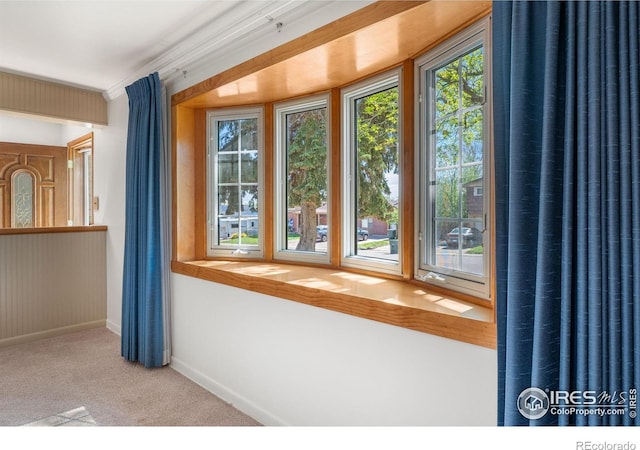 detailed view of baseboards and carpet