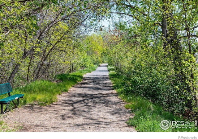 view of road featuring a forest view