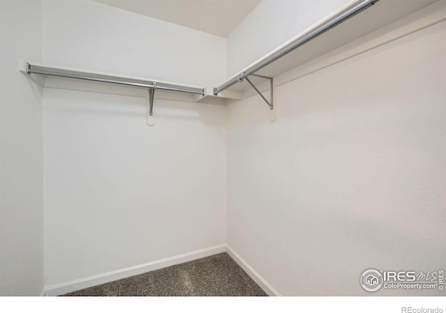 spacious closet featuring carpet
