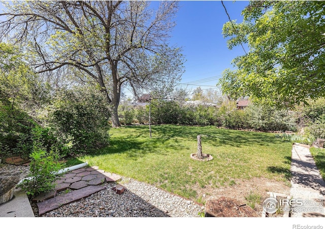 1207 S Tyler Ave, Loveland, CO 80537 - view of grassy yard