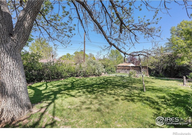 1207 S Tyler Ave, Loveland, CO 80537 - view of green lawn